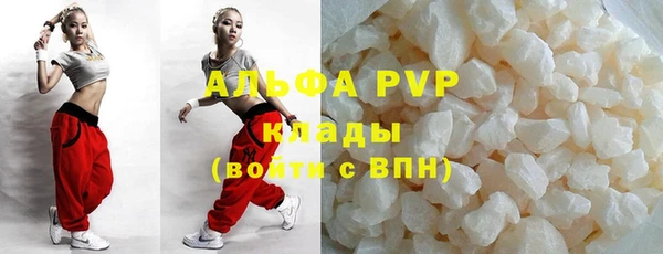 стаф Арсеньев