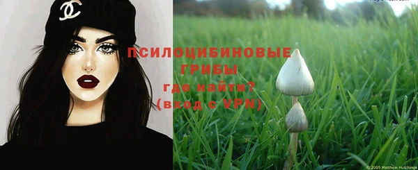 прущие крисы Армянск