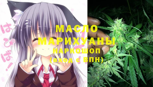 стаф Арсеньев