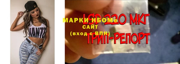 стаф Арсеньев