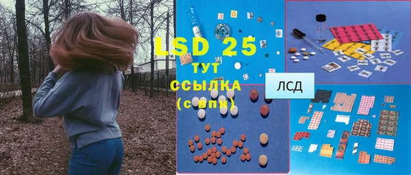 стаф Арсеньев