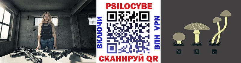 Псилоцибиновые грибы прущие грибы  купить наркотики сайты  Гаджиево 