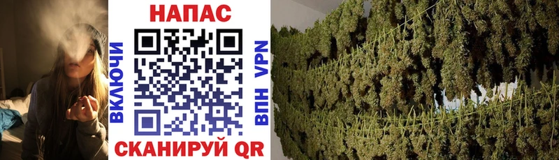 blacksprut зеркало  Гаджиево  Бошки марихуана сатива 